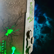 Load image into Gallery viewer, EARTHFALL: Alien Artifact | Alien Puzzle Box Escape Room Game | Hexagonal Interactive Mystery Box with LED Lights

